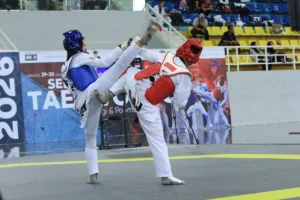 pbti-seleksi-atlet-taekwondo-untuk-sea-games-2026